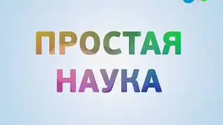 Veaceslav Draganov - Positive And Happy