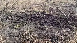 Обзор нашей ДАЧИ