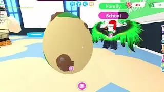 Купили легендарную Сову! Roblox Adopt Me