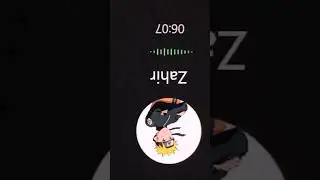 Zahir y Yo preguntas y respuestas #Video #Flamingo_123_:D #Zahirxgamer