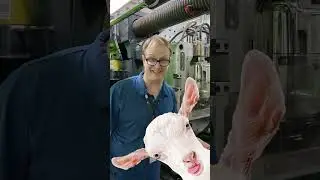 We have robots