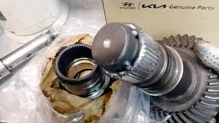 19 июня 2024 г.