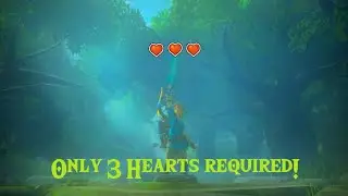 How to get the Master Sword with Only 3 hearts! (Easy and Consistent!)