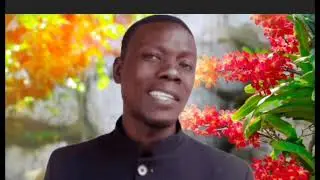 How to change or remove video background
