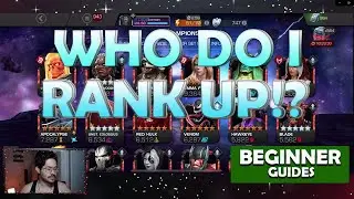 "Who Do I Rank Up?!" Heres the answer - Marvel Contest of Champions - Beginner Guides