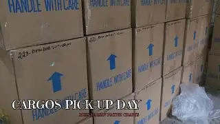 Bird Toys Cargos (Order) Bound for Canada,.Pick-up Day