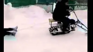 Снегоход дружба