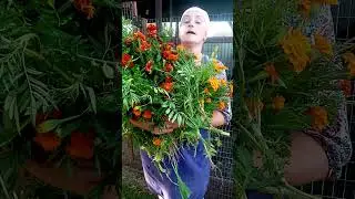 Это сделает ЯРКИМ ЯИЧНЫЙ ЖЕЛТОК,