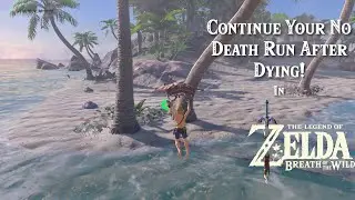 How to Continue Your No Death Bow of Light Run After Dying... in Zelda Breath of the Wild!