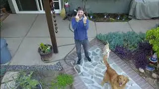 Brutal Human and Dog Attack on Drone
