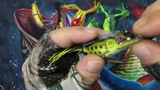 Лягушки с китая