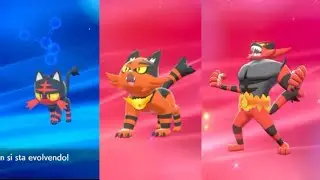 Litten si evolve in Torracat e Incineroar - Pokémon Spada e Scudo