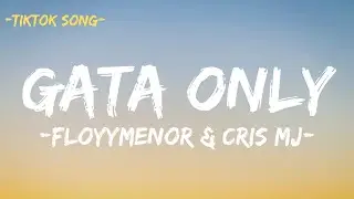 FloyyMenor - GATA ONLY ft. Cris MJ (Letra/Lyrics) TikTok Song, English translate, Bomboclatt song