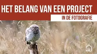 Projectmatig werken als fotograaf