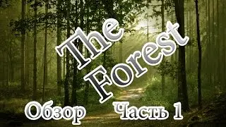 The Forest. Часть 1. v. 0.08d