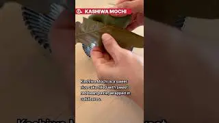 Japanese Sweets : Oak Mochi a.k.a. Kashiwa Mochi