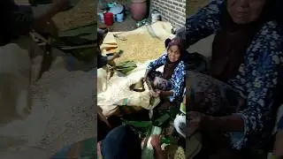 Pembuatan Tempe Kedelai #shorts