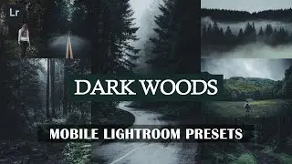 Dark Woods Lightroom Mobile Presets Free DNG | Lightroom Presets Tutorial Mobile