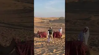 #Shorts