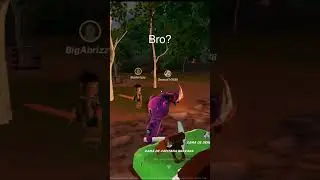 Bro? Wait Wait Wait