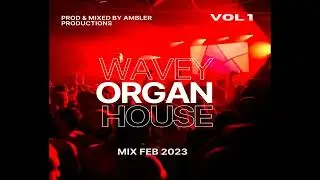 Wavey Organ House Mix 2023