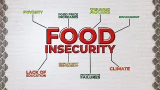 What Is Food Insecurity?