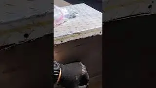 Vanlife squeaks and rattles - found small cut in door making a racket. Finally