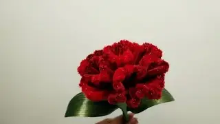 🌺FLOR DE TERCIOPELO CON LIMPIA PIPAS 🌺