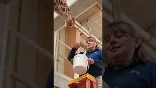 Keeper Joan Zoo Keeper Week