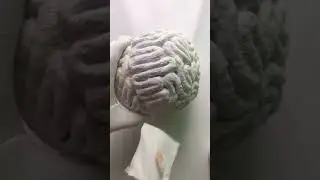 Coating Brain Model #diy #brain #sciencecrafts #modelprojects #schoolprojects #DIYBrain