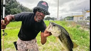 Fun. Time On The Creek Catching Bluegill & Bass (Catch*Clean*Cook