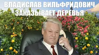 Владислав Вильфридович терроризирует мошенников, продающих деревья