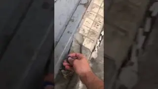 Я свободен давай со мной 