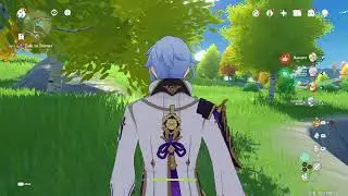 Genshin Graphic bug?