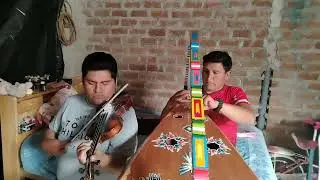 HUAYNITO BAILABLE PERÚ / Arpa y Violin / Quinto Chico y Alkon De pampachiri 970928079