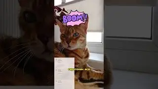 Когда денежка пришла