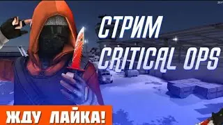 СТРИМ ПО КОПСУ/ЧИЛИМ/КАЧАЕМ ПАСС/