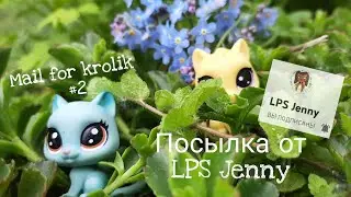 LPS: распаковка посылки от LPS Jenny//Mail for krolik #2//