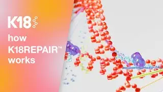 K18 Hair: The science behind the K18REPAIR™ service