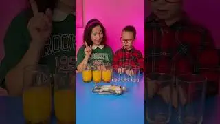 🥤Transfer the Juice! 😲 Fun Trick! 