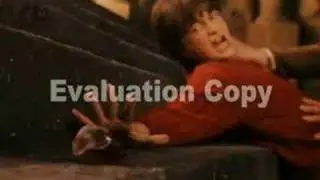 Harry Potter: Director's Cut
