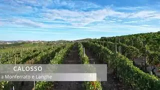 Tra Monferrato e Langhe - Calosso (AT) - Tra i Vigneti più belli d'Italia