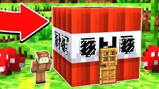 LEKIN BIZDA TNT UY BOR●UZBEKCHA MINECRAFT