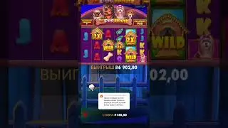 Мой рекордный ЗАНОС в Dog house Megaways!#Занос #casino #DogHouseMegaways