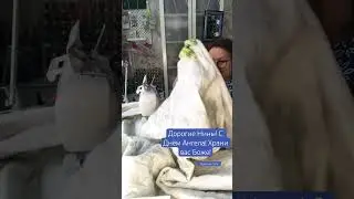 Нины!!! С Днём Ангела! 