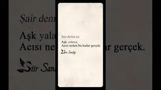 Sana Veda ettiğim gün, Tanıştığımız Günden daha Yabancıydın Bana. #veda #şiir  #şiirsandığı