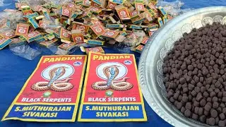 2000 सांप की गोलियां एक साथ जलाया | 2000 Black serpent at once amazing Experiment |