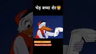 भेड़ का बच्चा 