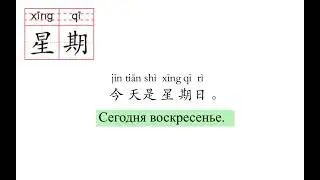 Китайский язык. 新 HSK1 урок 24 слова и предложения.