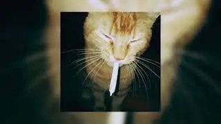 isq - hypnotic (super slowed)